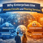 Why Enterprises Use Private Circuits And Peering Services